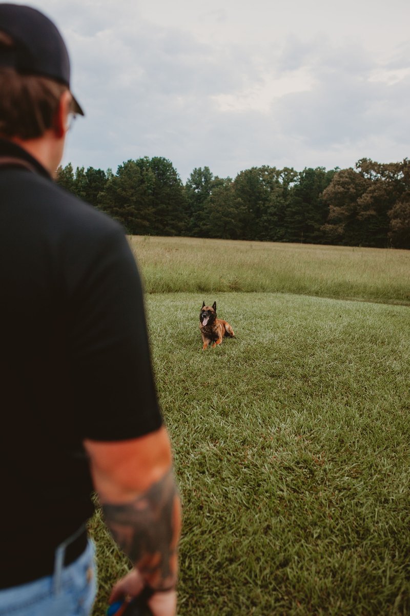 Off-leash distance training