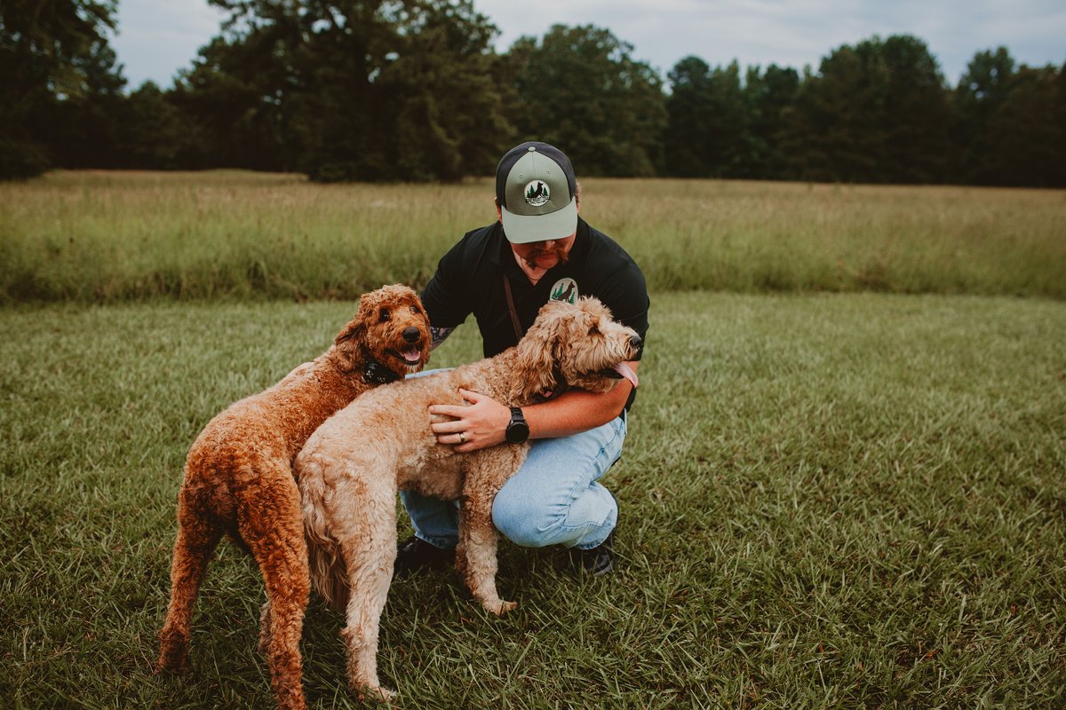 Alexander with two Goldendoodles
