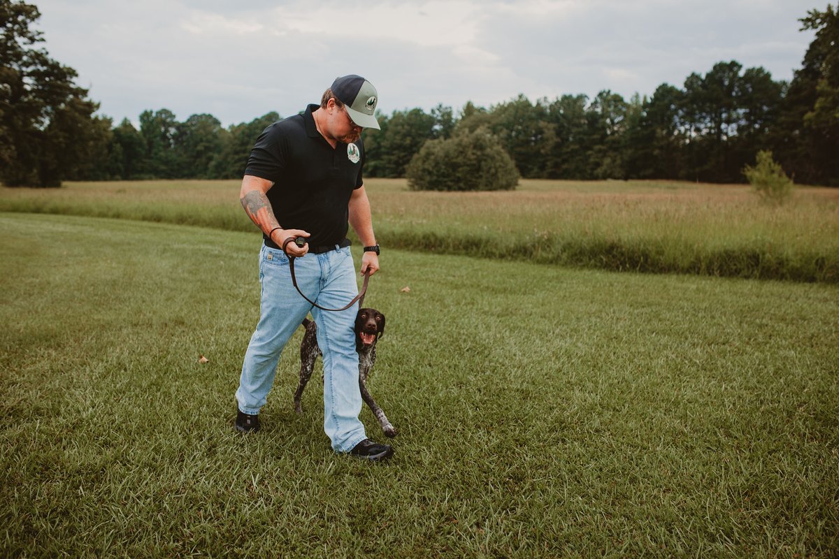 Heel work with a German Shorthaired Pointer