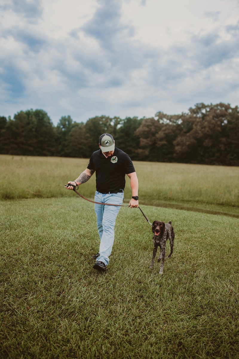 Walking with a German Shorthaired Pointer